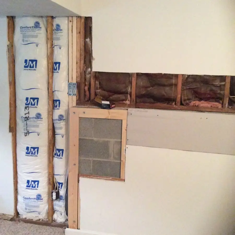 Wall insulation replacement during Basement Flood Cleanup in Bee Cave